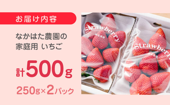 【先行予約】【2025年12月より順次発送】いちご食べ比べ セット 4品種 計500g ( 250g × 2P ) 農園直送 産地直送 熊本県産 山都町産 イチゴ ストロベリー【なかはた農園】[YBI