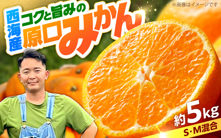みかん 約5kg（傷み保証分200g含む）[CGR001] 原口 みかん