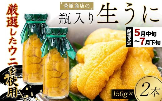 【発祥の地】【牛乳瓶入り生うに】【2027年先行予約】菅原商店 生うに 150g×2本 国産 三陸山田 岩手県 山田町 三陸 旬 うに 牛乳瓶 無添加 ウニ 雲丹 うに丼 無添加ウニ キタムラサキウニ 特選 ミョウバン不使用