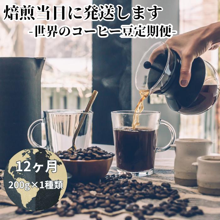【ふるさと納税】【コーヒー豆定期便12か月】『焙煎幸房“そら”』世界を旅するコーヒー 酸味は苦手、浅煎り抜き 200g×1種類