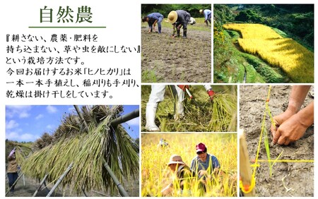 2352R_ギフト用／自然農の掛け干し棚田米 ヒノヒカリ 真空キューブ 2合×4個（2箱）