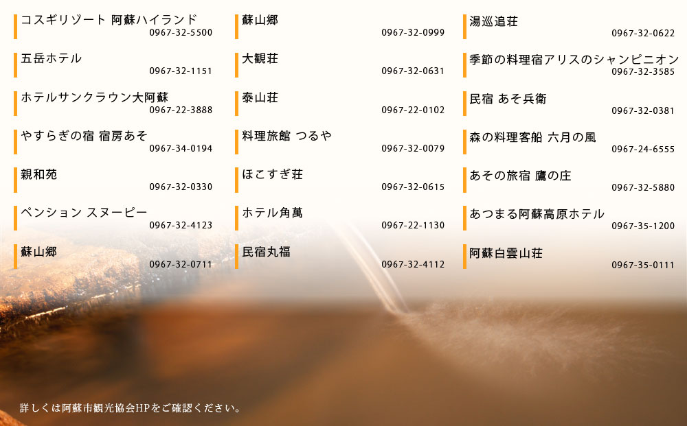 【20,000円分】 阿蘇市 宿泊補助券 観光 旅行 宿泊補助券 クーポン チケット 人気 観光地 選べる 旅館 ホテル 温泉 旅 宿泊 熊本 阿蘇