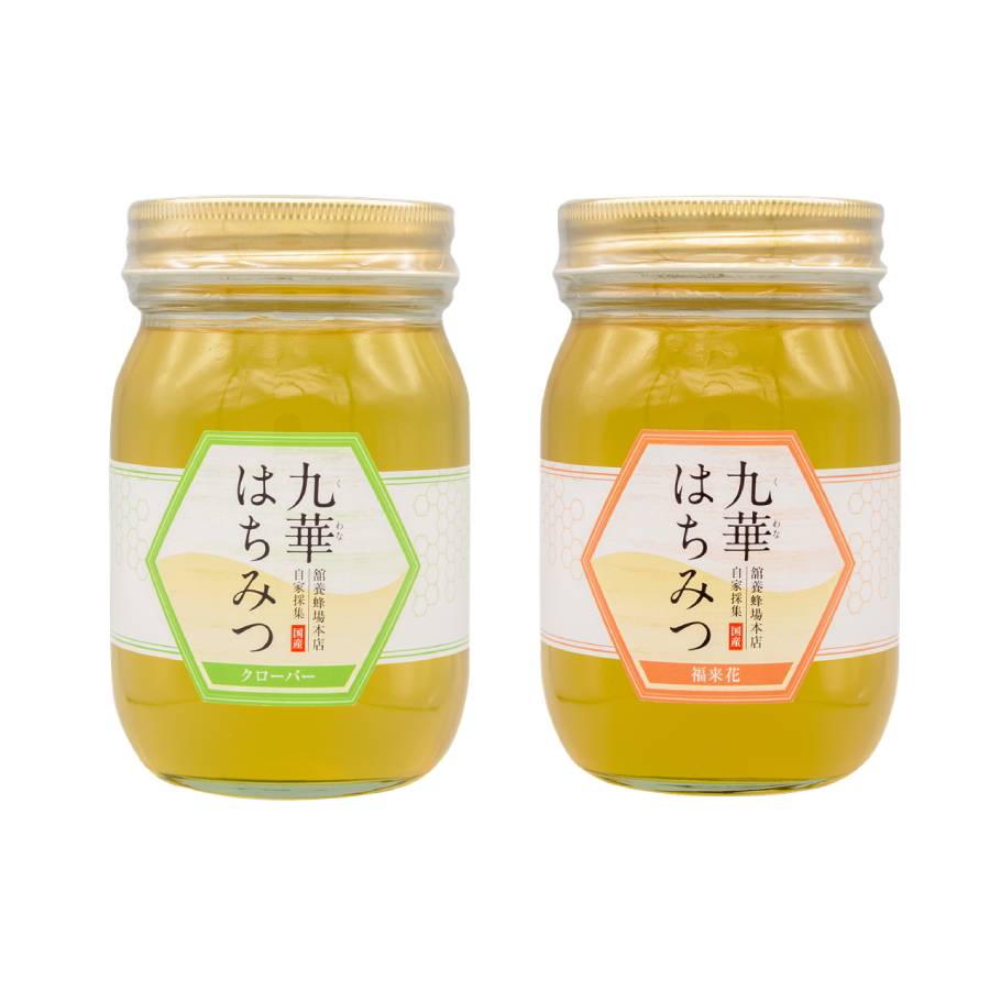 ＜舘養蜂場本店＞「九華はちみつ」【6カ月定期便】