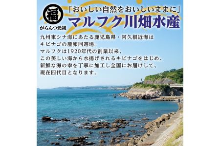 鹿児島県阿久根市産干物セット(6種) 国産 九州産 鹿児島県産 新鮮 鮮度 魚 魚介類 乾物 ひもの おつまみ おかず お弁当 珍味 一夜干し きびなご あじ いか あおさ【マルフク川畑水産】a-12