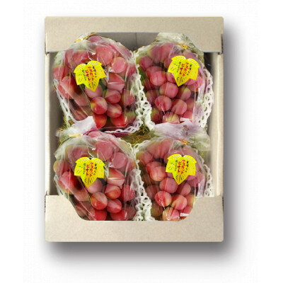 【ふるさと納税】【2025年度発送分】希少品種ブドウわけありマスカットビオレ2kg【配送不可地域：離島・北海道・沖縄県】【1674118】