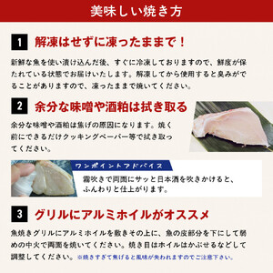 伊達の銀鮭モンゴル岩塩漬け 10切入（2切×5パック）