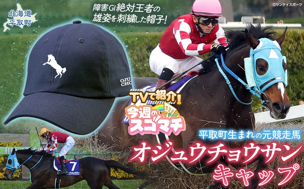
                  【オジュウチョウサン】キャップ【ふるさと納税 人気 おすすめ ランキング 馬 競馬 競走馬 オジュウチョウサン グッズ 北海道 平取町 びらとり 送料無料】 BRTV011
                