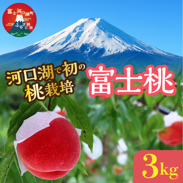 ＜25年発送先行予約＞河口湖で初の桃栽培！オリジナルブランド富士桃(約３キロ) FAH004