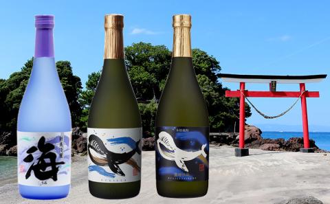 大海酒造特選飲み比べ 720ml 12本