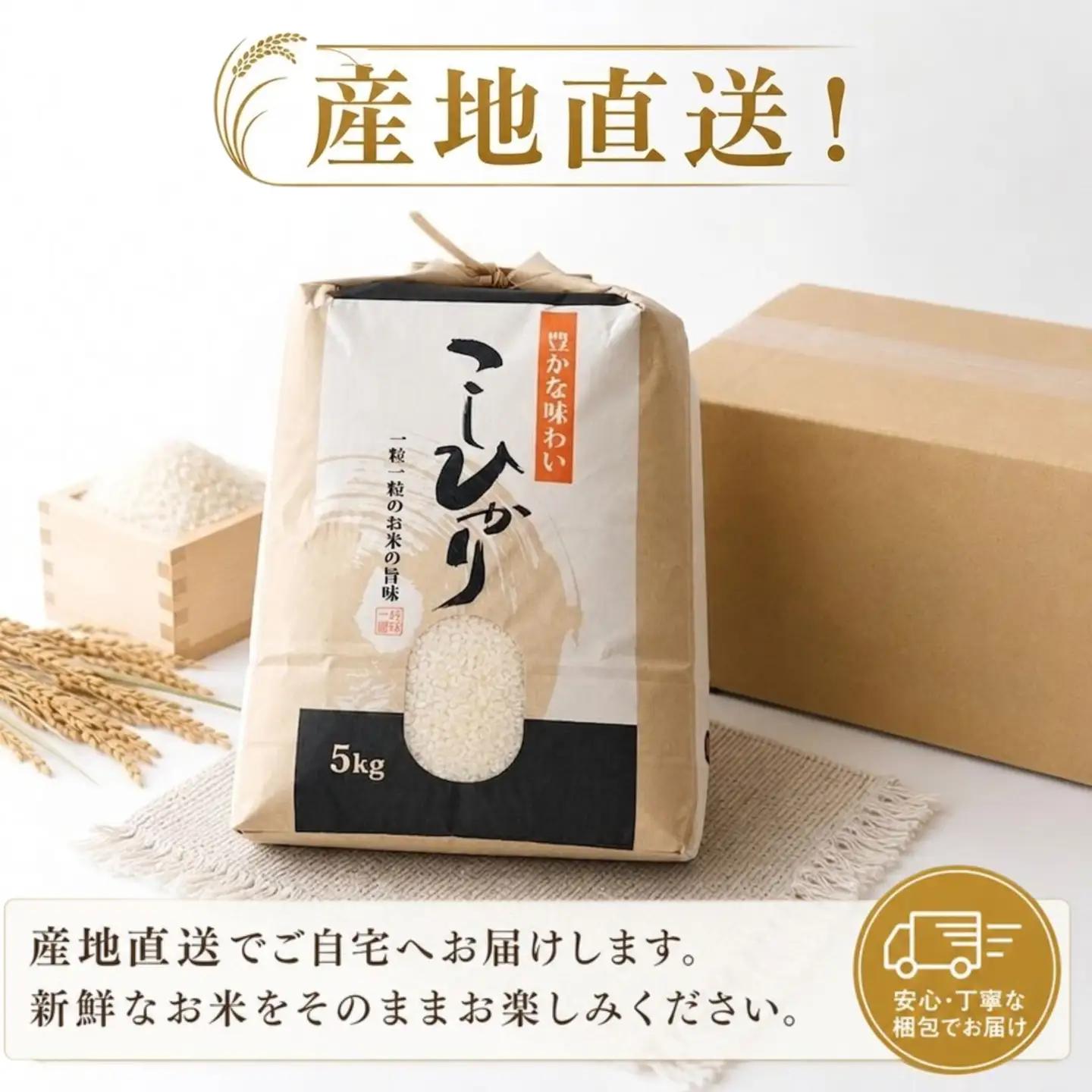こしひかり 白米 新米 5kg 2026年産［0941-3］