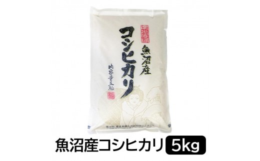 お米マイスター厳選！魚沼産コシヒカリ５kg×隔月6ヶ月　定期便