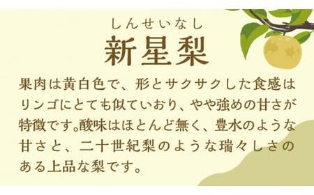 新星梨 約5kg  9月中旬発送 梨 梨 梨 梨 梨 梨 梨