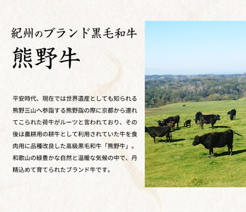 熊野牛 A4以上 霜降り 赤身 こま切れ 500g 【入金後30日以内に発送予定】【Z91053-uot747】