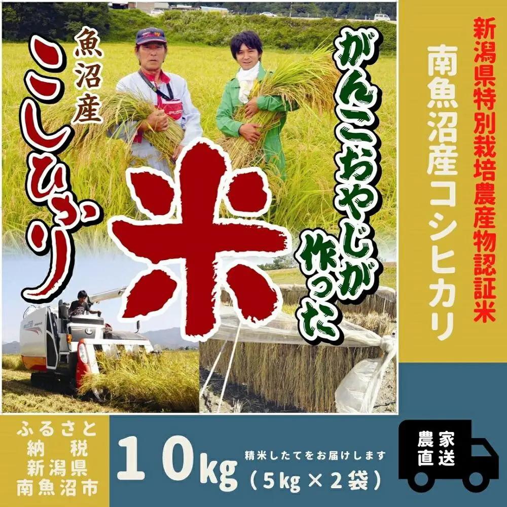 【令和7年】特別栽培米　がんこおやじが作った南魚沼産コシヒカリ 白米１０kg（５kg×２袋） | 米
