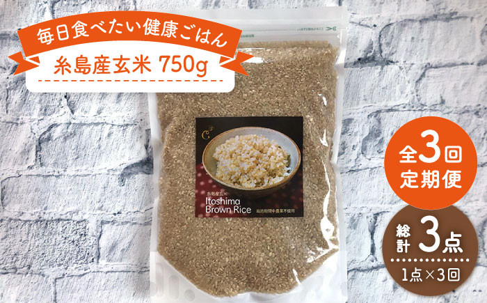 
                  【 全3回 定期便 】 糸島産 玄米 《糸島》 【Carna】 [ALA044]
                