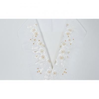 ふるさと納税 伊丹市 半衿　七宝繋ぎに宝尽くしの柄　刺繍　白地に白と金の糸 [54030223] |  | 01