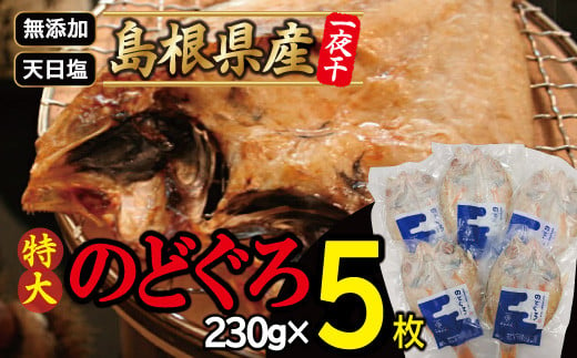 
特大のどぐろ一夜干し（5枚セット）【のどぐろ 特大 干物 230g 合計1.15kg のどぐろ干物 無添加 天日塩 高級魚 ノドグロ アカムツ 一夜干し 新鮮 冷凍 真空パック 贈答 父の日 母の日】
