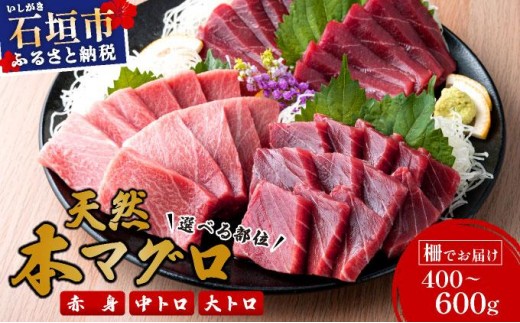 
                  ＜選べる部位＞石垣島産 天然本マグロ (赤身・中トロ・大トロ ) ＜先行予約2026年6月発送＞ | マグロ 鮪 沖縄県 石垣市 送料無料 天然 まぐろ 本まぐろ 黒マグロ 刺身 お刺身 数量限定 ヤエスイ マグロ船直送
                