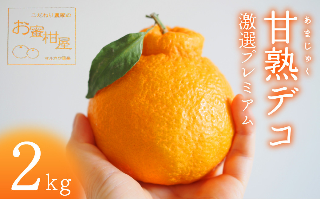 
            ≪先行予約≫完熟しらぬい『甘熟デコ』厳選プレミアム 黒の化粧箱（大）２kg みかん 蜜柑 柑橘 デコポン　マルカワ園芸
          