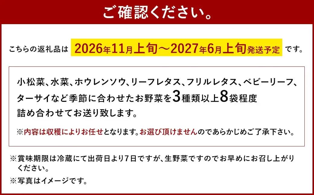 水耕 栽培 新鮮 葉物 野菜 Aセット GreensFarm ホタル サラダ 和え物 M06S22【2026年11月上旬～2027年6月上旬発送予定】