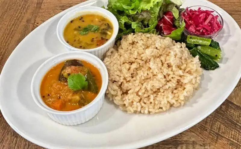 インドカレー VEGAN バラエティ インド カレー 食べ比べ セット 冷凍 レトルト 詰め合わせ 温めるだけ 惣菜 おかず 野菜カレー ヴィーガン 食 ベジタリアン ベジタリアンカレー インド料理 