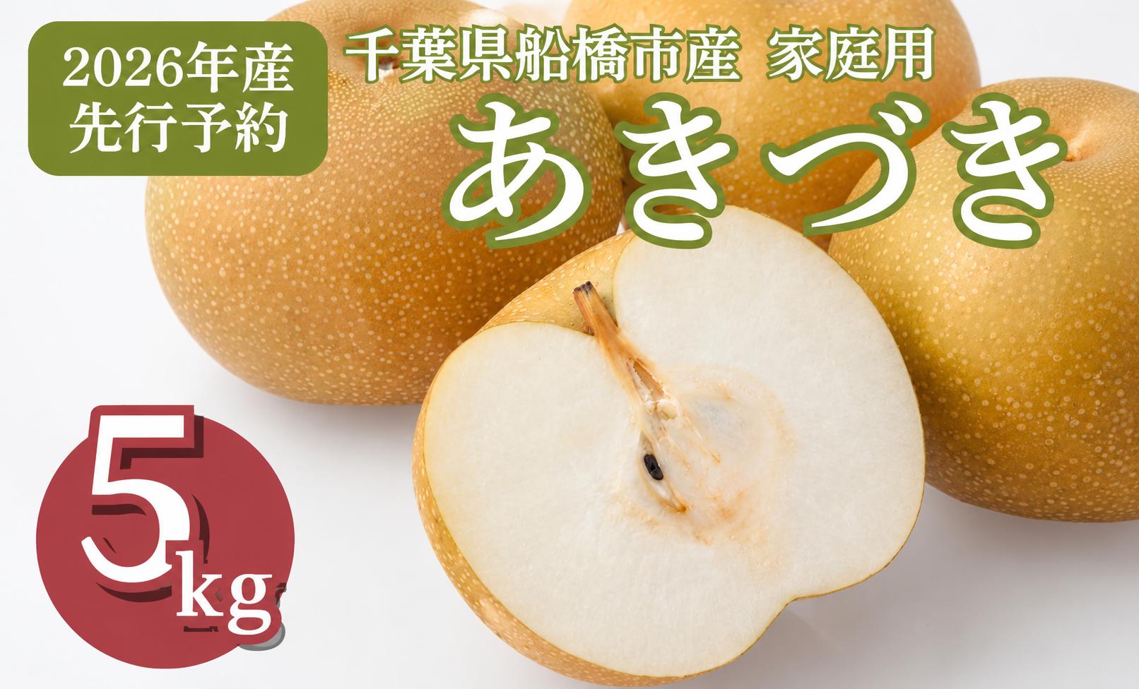 
                  【2026年産】船橋のなし あきづき 5kg 12～16玉 家庭用 梨 秋月 千葉県 船橋市産 JA厳選 高品質 先行予約
                