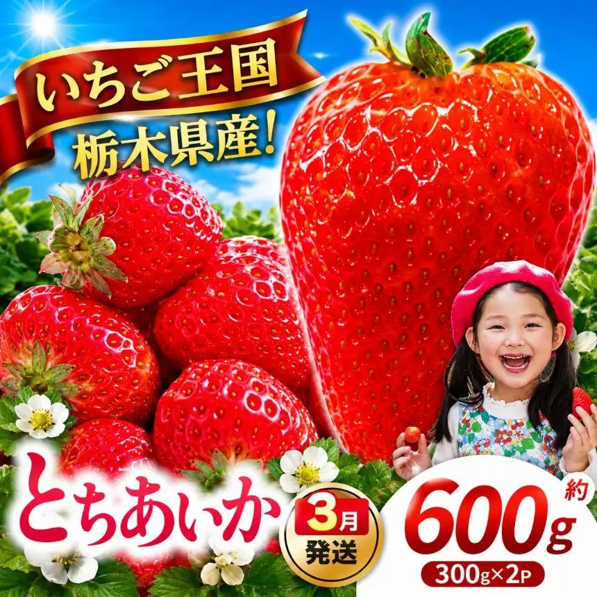【先行予約】【期間限定】那珂川町産とちあいか 3月発送分 約300g×2 |いちご とちあいか ジューシー フルーティー 大きい 新鮮 甘い 美味しい 果物 共通返礼品 フルーツ デザート 栃木県 那珂川町 送料無料