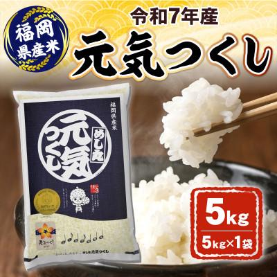 ふるさと納税 芦屋町 令和7年産 元気つくし5kg(芦屋町)