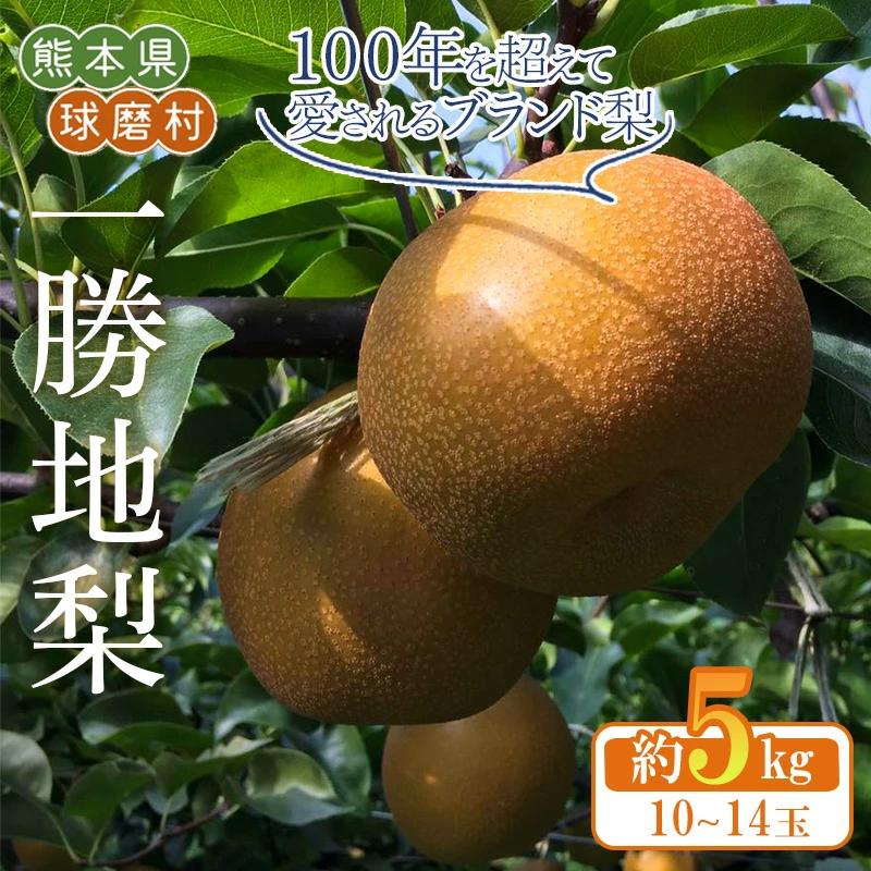 FKP9-684 【先行予約】一勝地梨 約5kg