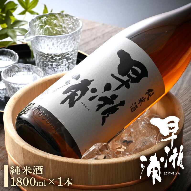 【ふるさと納税】早瀬浦 純米酒 1800ml × 1本 【入手困難 日本酒 就職祝い 転職祝い ハレの日 ギフト プレゼント お祝い お返し お礼 お中元 お歳暮 父の日 敬老の日】 [m06-a001]