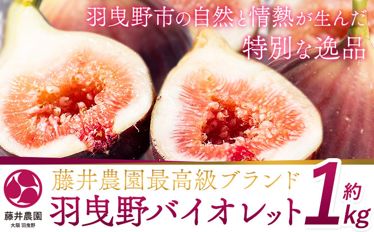 
            いちじく【2026年先行予約】いちじく 羽曳野バイオレット約 1kg 9個 もしくは 12個 藤井農園《2026年8月中旬-9月中旬に出荷予定(土日祝除く)》大阪府 羽曳野市 いちじく 無花果 フルーツ 果物 高級 ブランド
          