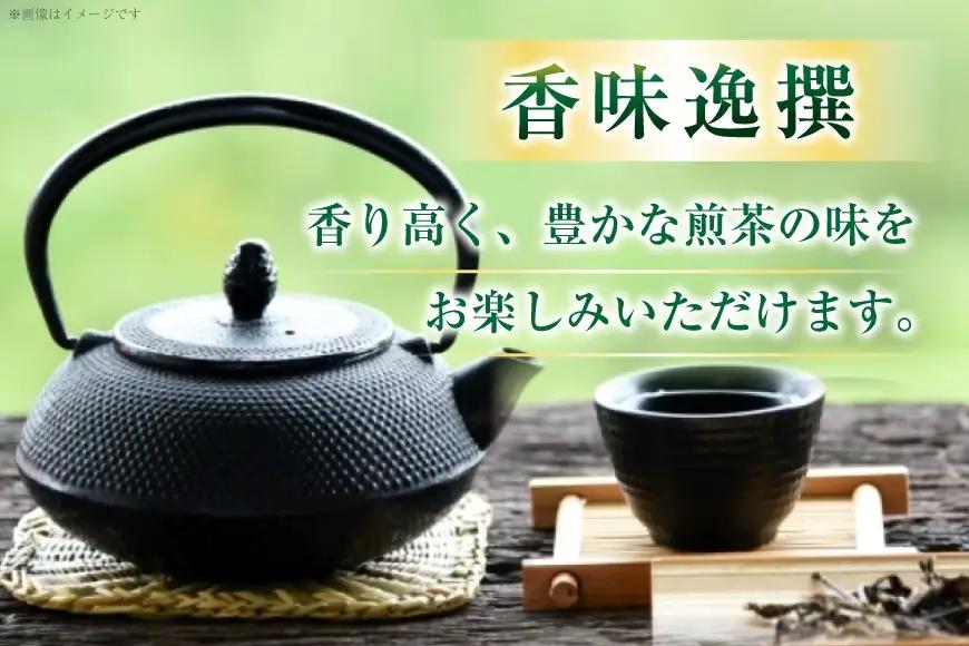 八女茶 煎茶 100g 2セット 八女茶