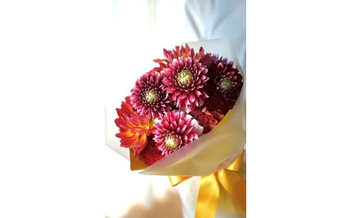 【12回定期便】ダリア花束初回花瓶付き / ダリア お花 フラワー 大輪 花束 定期便 高知 生花 誕生日 ギフト 季節の花 延命剤付き インテリア 華やか 自分へのご褒美【株式会社tomoni】 [