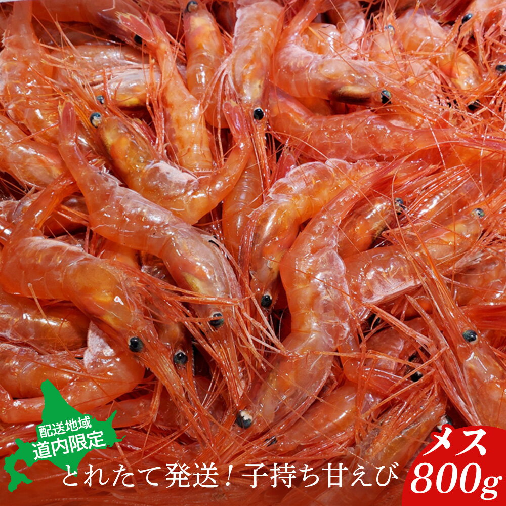 【ふるさと納税】【配送地域・北海道内限定】とれたて発送！子持ち甘えび　メス 800g【06113】