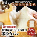 【ふるさと納税】 定期便 3回お届け 3ヶ月 グルテンフリー 米粉パン 食パン2枚×17袋 米ぱん工房「ままみぃ」 トースト アレルギー 朝ごはん 朝食 真空包装（冷凍）まんま農場 小麦粉不使用 パン AD100 お楽しみ