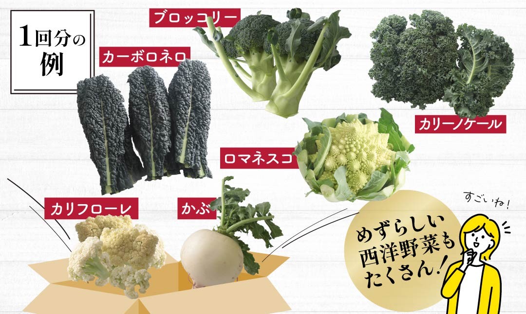野菜ソムリエが送る 旬野菜セット 8～10品 西洋野菜 一般野菜