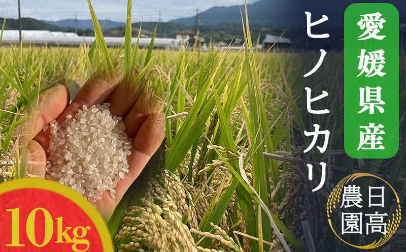 
            令和7年産！愛媛県産ヒノヒカリ 10kg ｜産地直送 国産  白米 ブランド米 期間限定 数量限定 ご当地 愛媛県 松山市
          