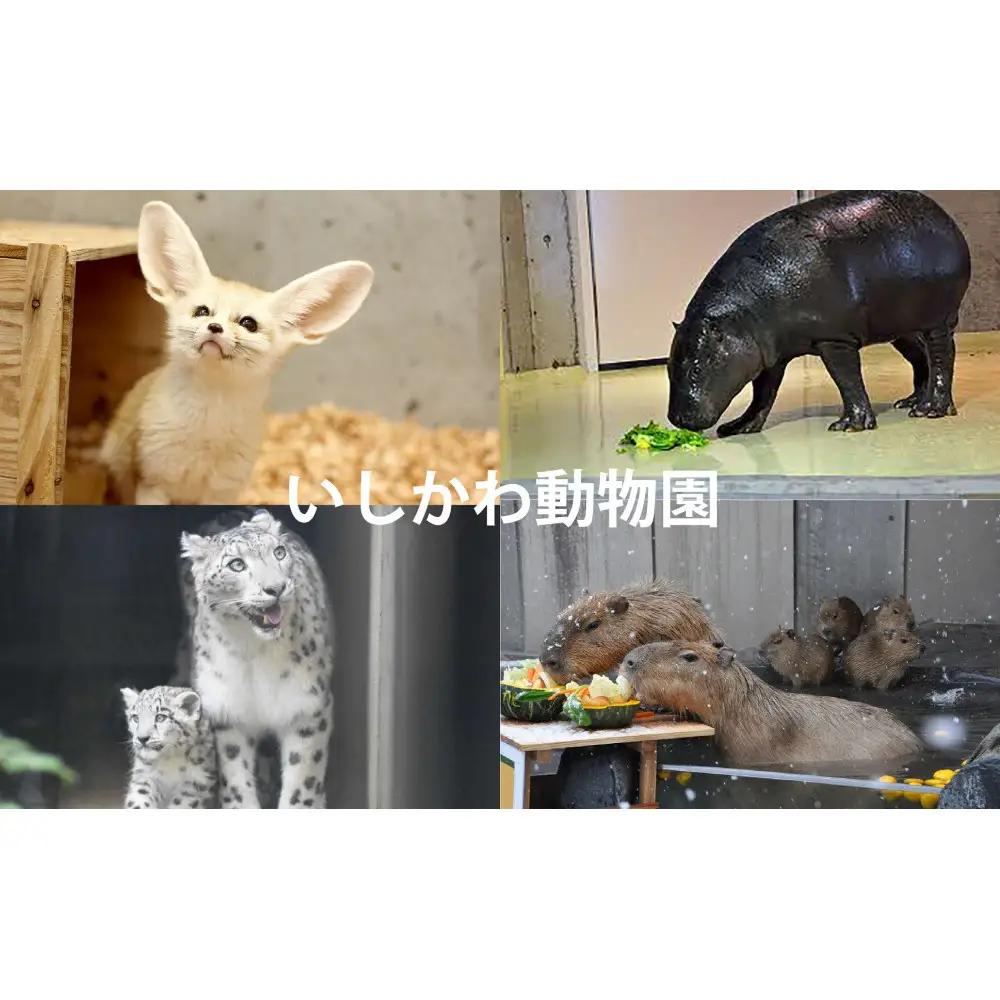チケット いしかわ動物園ペア入園券（一般）石川県 能美市