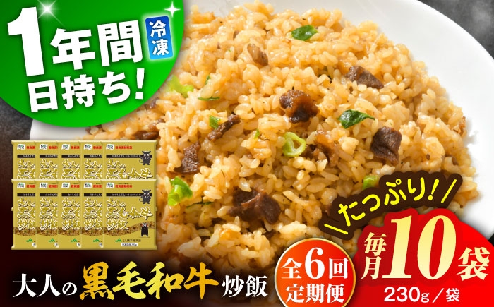 
                  【全6回定期便】熊本県産 こだわり炒飯 大人の黒毛和牛炒飯 計2.3kg (230g×10)  冷凍食品 チャーハン 熊本県 特産品 焼きめし 冷凍炒飯 惣菜 冷凍チャーハン 焼飯 焼き飯 やきめし 炒飯 惣菜 冷凍 温め 時短 レンチン 簡単 ごはん 菊陽町【ユーユーフーズ株式会社】 [BHCS020]
                