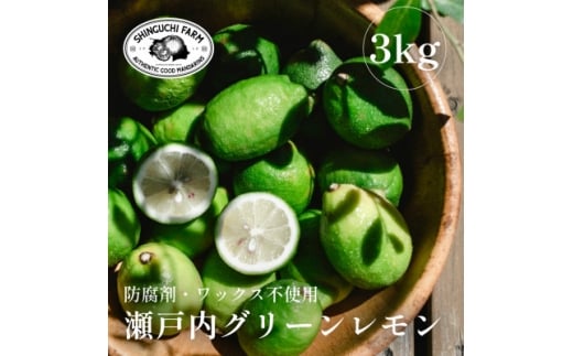 ＜皮ごと食べられる＞瀬戸内グリーンレモン 3kg 防腐剤・ワックス不使用＜C70-47＞【1550650】
