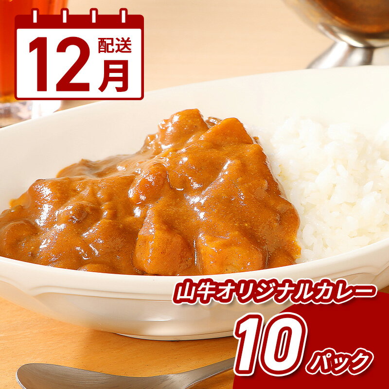 【ふるさと納税】12月配送★「山牛」のオリジナルカレー10パックセット - 1人前 約200g レトルトカレー ビーフカレー レトルト食品 おかず お惣菜 国産牛肉 黒毛和牛 簡易包装 パウチ 湯煎調理 常温保存可能 保存食 お総菜 12月発送 12月お届け 送料無料 【宮崎県木城町】