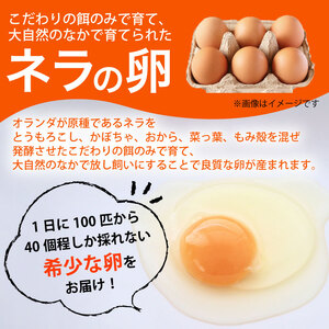 【定期便3回】【産地直送】旬のお野菜詰め合わせ 6～8種類 卵 6個付き