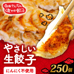 【 メディア出演多数 】 やさしい 生 餃子 250個 餃子