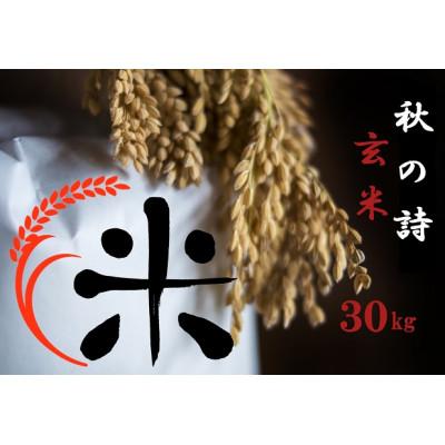 ふるさと納税 竜王町 令和7年産 秋の詩玄米 30kg