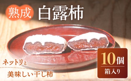 熟成 白露柿 10個 箱入り / 柿 干柿 南島原市 / 中邨[SAG006]
