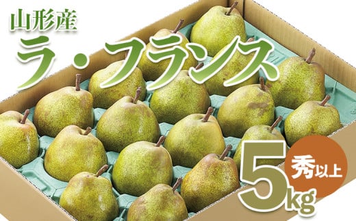 山形市産 ラ・フランス 秀以上 5kg(18～20玉） FZ21-931