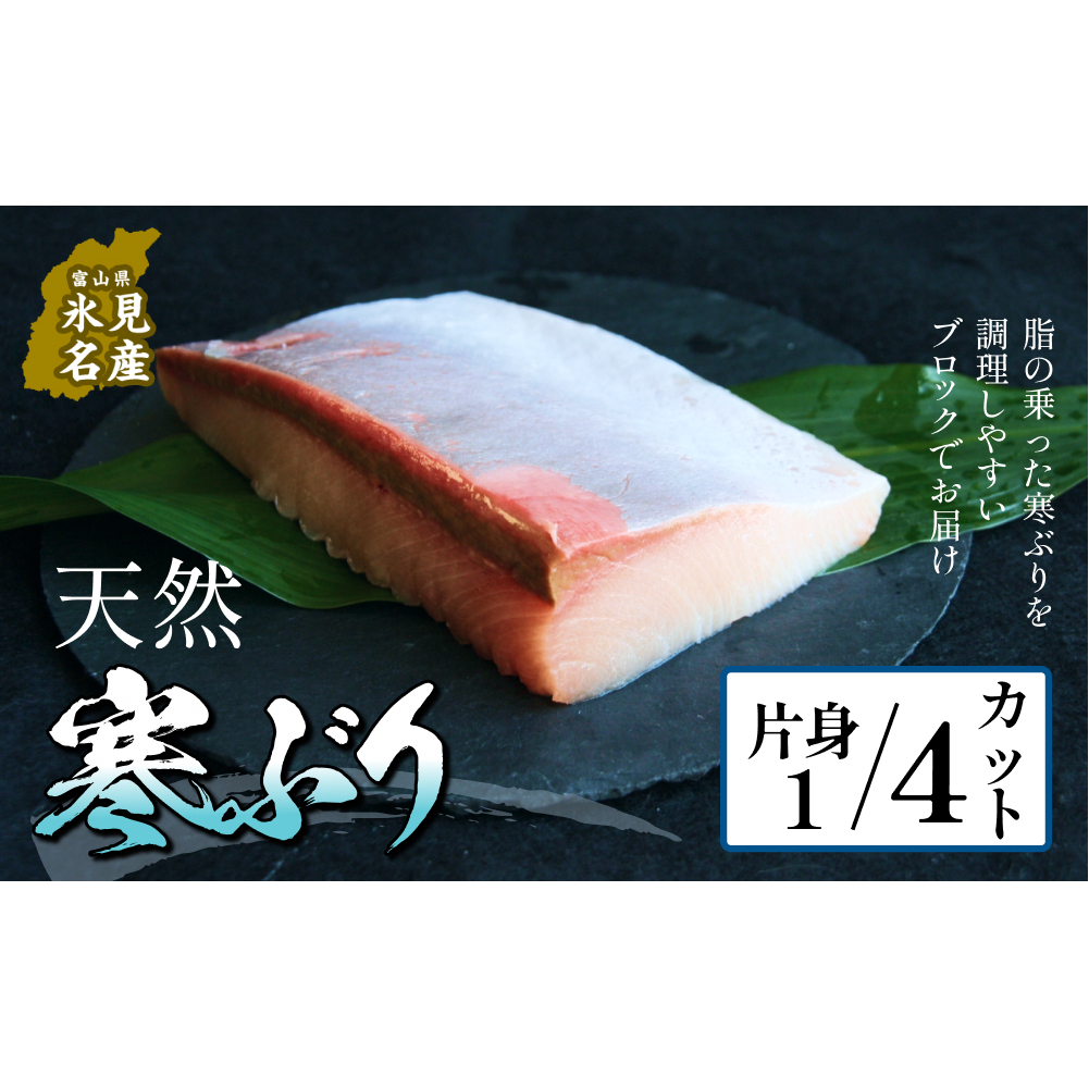 【先行予約】氷見産 天然寒ブリ 片身 １／4カット 【2025年11月中旬以降順次発送】 ブロック 釣屋魚問屋直営 ひみ岸壁市場  富山県 氷見 氷見漁港 能登 寒ブリ 天然鰤 しゃぶしゃぶ 天然 鮮魚 ブリ 産地直送