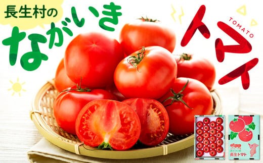 
                  E01-001 ながいきトマト 4kg
                