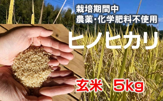 
            【栽培期間中農薬化学肥料不使用】きれいな山水で育てたヒノヒカリ 玄米（5kg）≪令和６年度 新米 臼杵市産≫
          