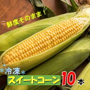 美味しさそのまま！まるごと冷凍スイートコーン 10本 野菜 とうもろこし